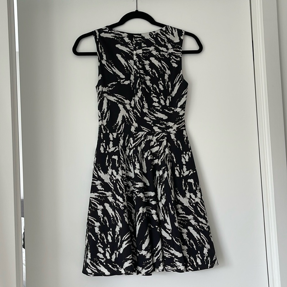 Express Dress - Picture 4 of 5